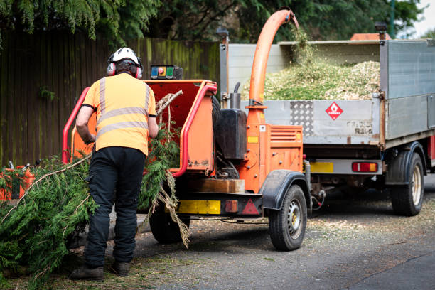 Best Emergency Tree Removal  in Sixteen Mile Stand, OH
