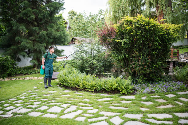 Best Pest Control for Lawns  in Sixteen Mile Stand, OH