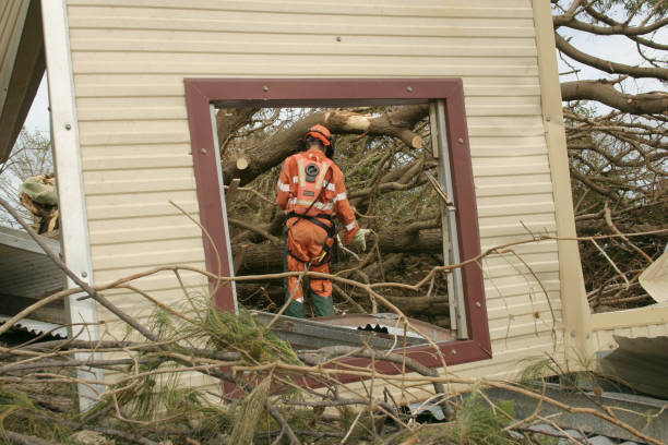 Best Tree Health Inspection  in Sixteen Mile Stand, OH